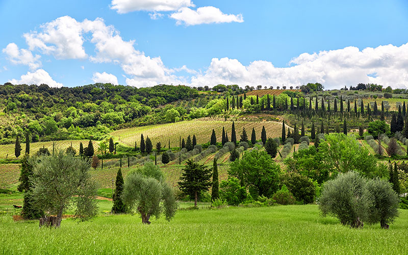 Tuscany landscape in springtime, Toscana, Italy